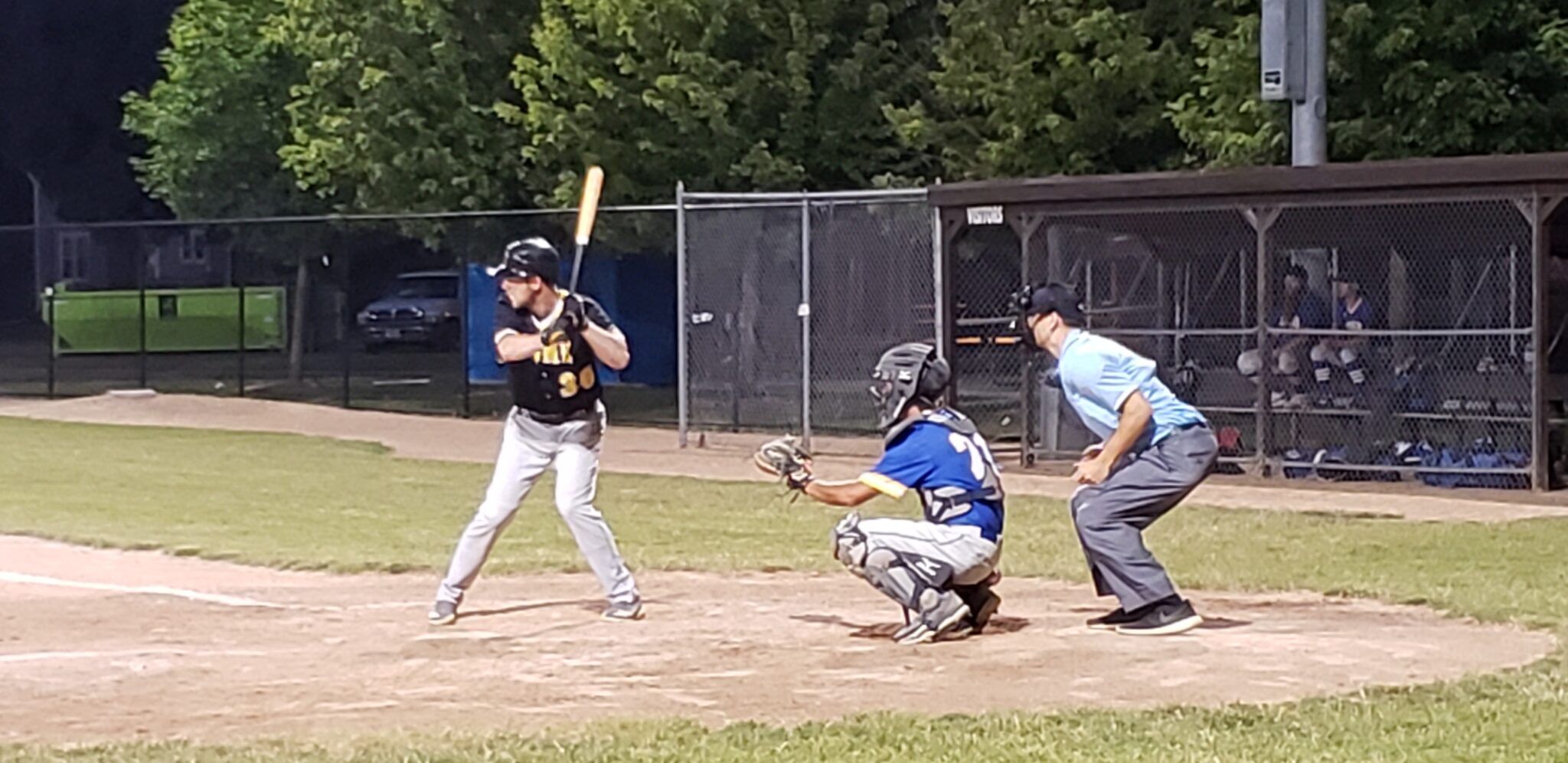 Baseball Fest returns to Jones Park June 1619